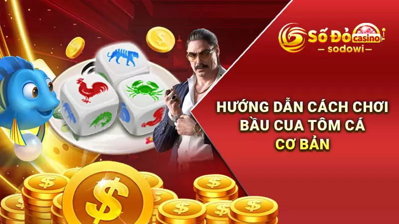 Bầu Cua SODO - Hướng Dẫn Chơi Cực Dễ, Trúng Lớn Mỗi Ngày 3 Hướng dẫn cách chơi bầu cua tôm cá cơ bản